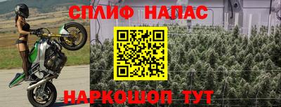 ПСИЛОЦИБИНОВЫЕ ГРИБЫ Балашиха