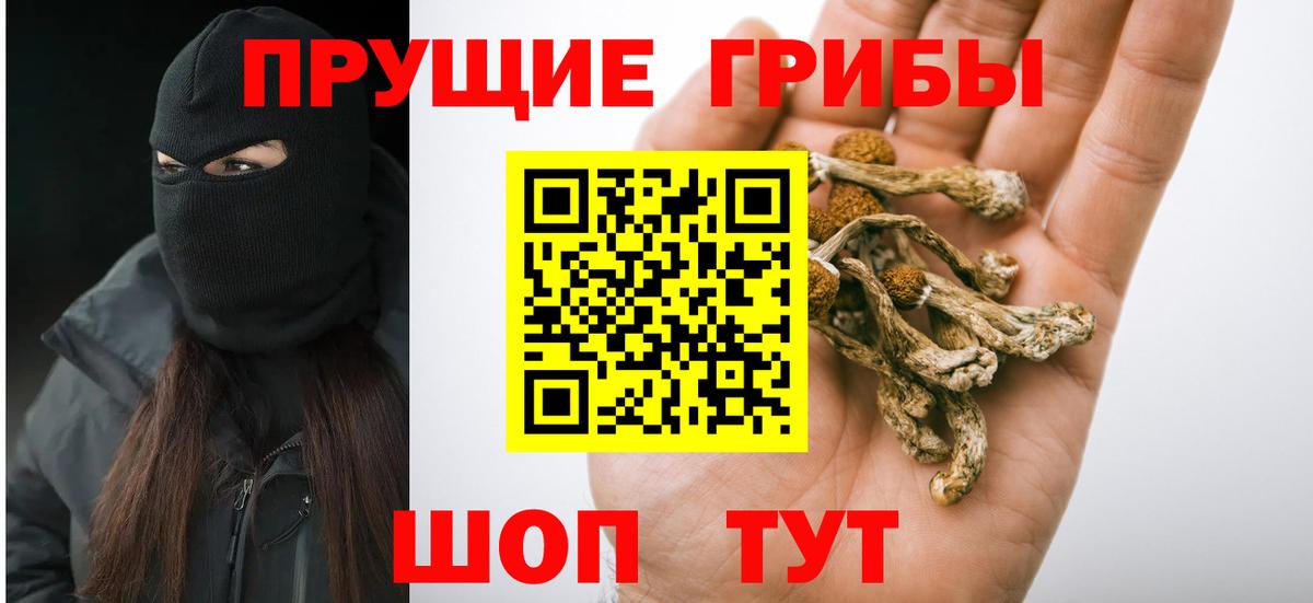 Елабуга  Галлюциногенные грибы Psilocybe  Вход с VPN  Псилоцибиновые грибы прущие грибы 